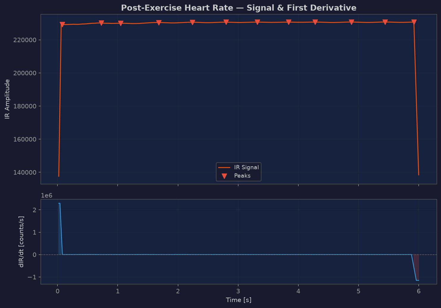 Exercise PPG derivative analysis